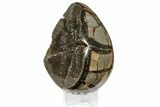 Septarian Dragon Egg Geode - Black Crystals #145260-1
